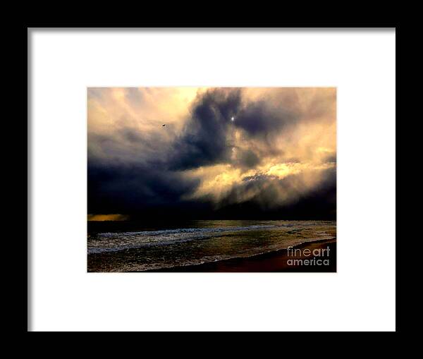 Bird Framed Print featuring the photograph Storm Bird by Russell Kightley