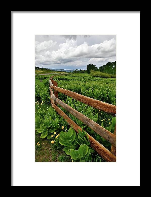 Highway 50 Framed Print featuring the photograph Storm Clouds over Big Cimarron Road by Ray Mathis