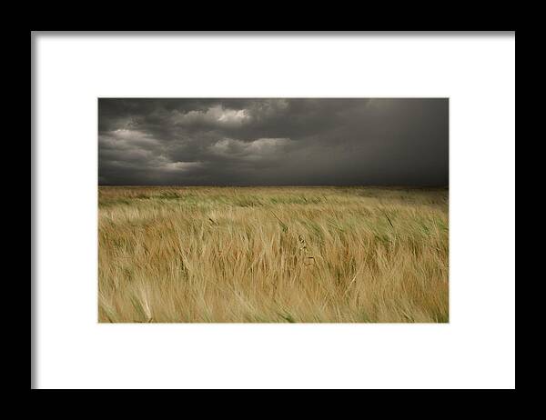 Scenics Framed Print featuring the photograph Stormy Meadow by Macroworld