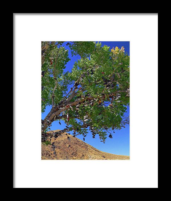 Trees Framed Print featuring the photograph Strange Fruit by David Bailey