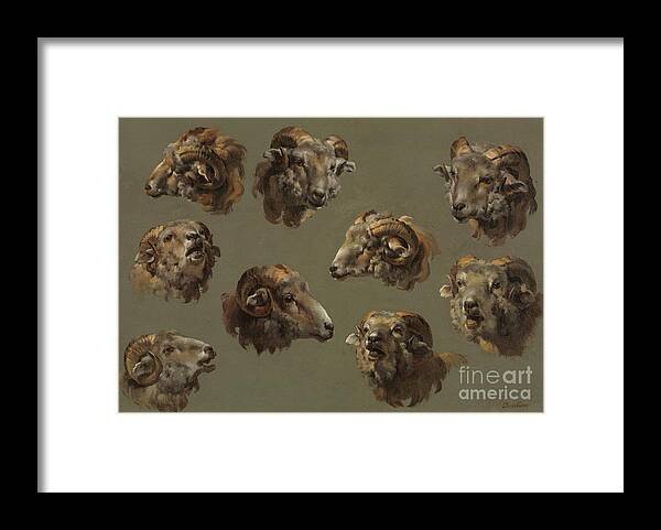 Oil Painting Framed Print featuring the drawing Studies Of Ram Heads by Heritage Images