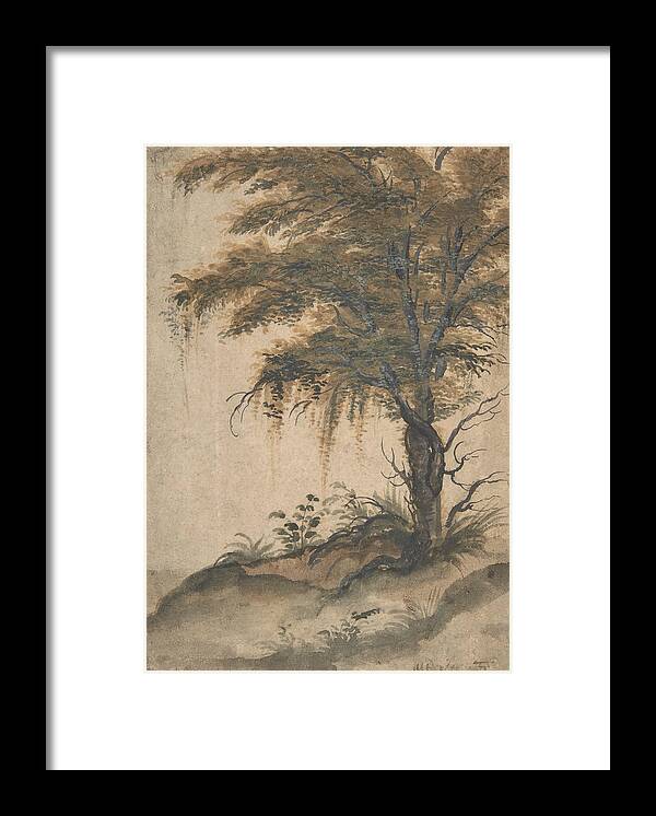 16th Century Art Framed Print featuring the drawing Study of a Tree by Marten van Valckenborch