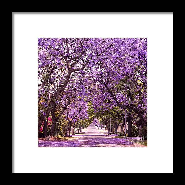 Romance Framed Print featuring the photograph Stunning Alley With Wonderful Violet by Dendenal