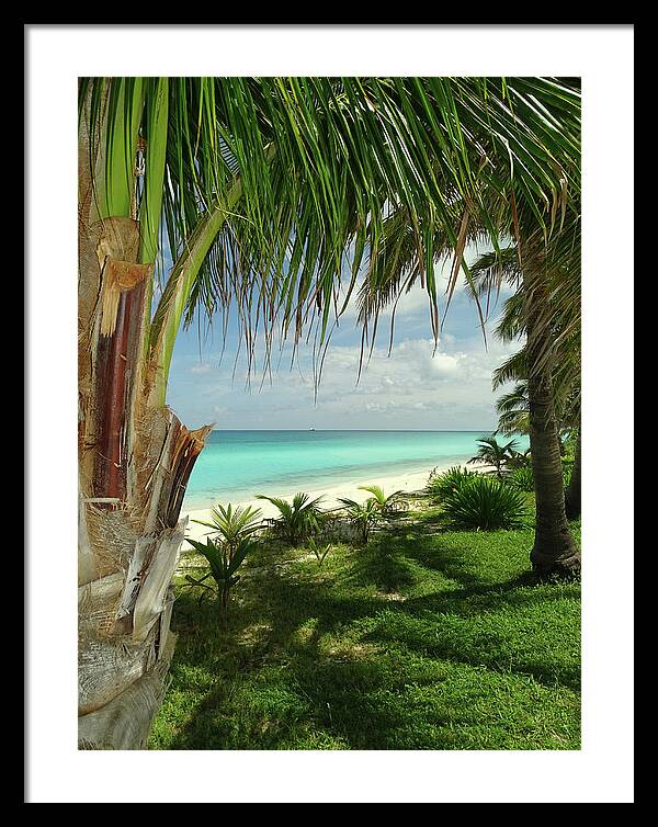 Bimini Framed Print featuring the photograph Inviting Bimini Beach Between 2 Palm Trees by Dan Podsobinski