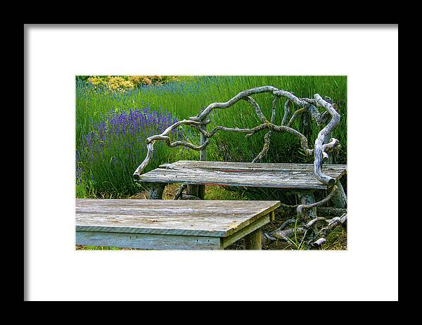 Pacific Northwest Framed Print featuring the photograph Summer afternoon at a lavender garden by Leslie Struxness