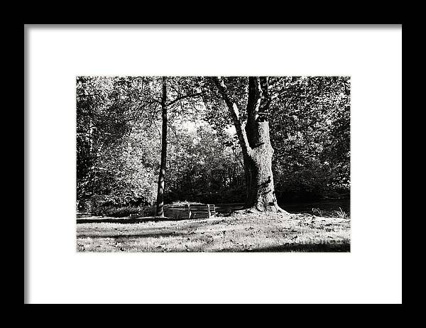 Black And White Framed Print featuring the photograph Summer Afternoon on the Yellow Breeches by Steve Ember