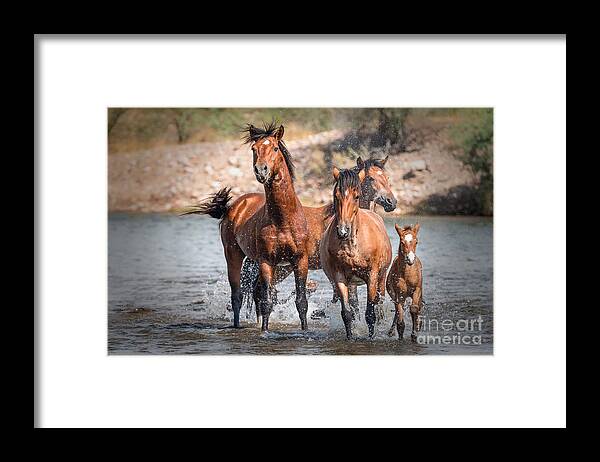 Mustang Framed Print featuring the photograph Summer at the River by Lisa Manifold