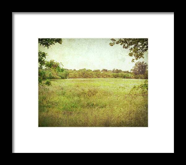 Meadow Framed Print featuring the photograph Summer Meadow by Lupen Grainne