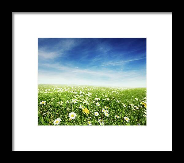 Scenics Framed Print featuring the photograph Summer Meadow by Sykkel