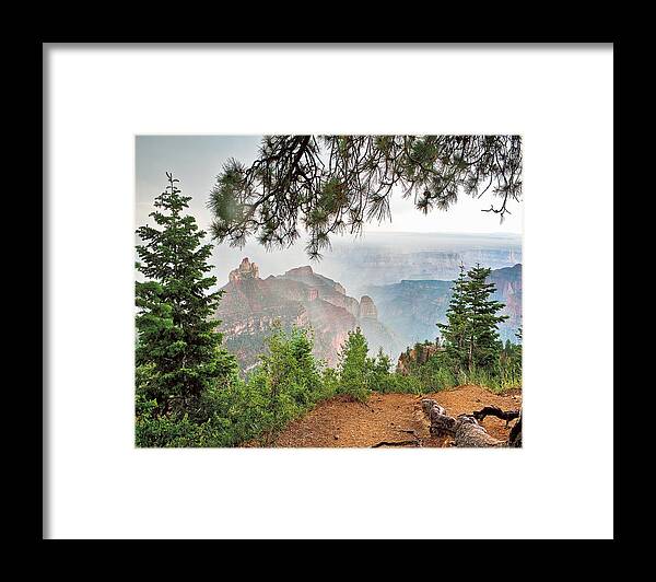 Arizona Framed Print featuring the photograph Summer Rain by Images Of David Costa