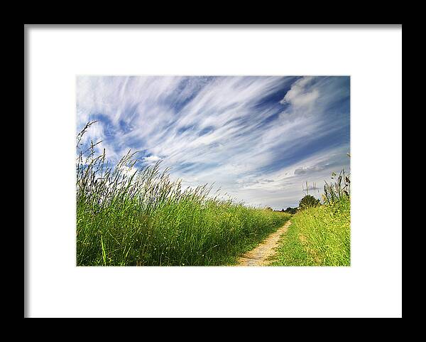Scenics Framed Print featuring the photograph Summer Scenics by Knape