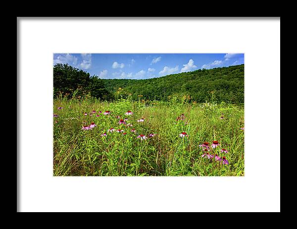 Bloom Framed Print featuring the photograph Summer Wildflower Meadow by Michael Gadomski