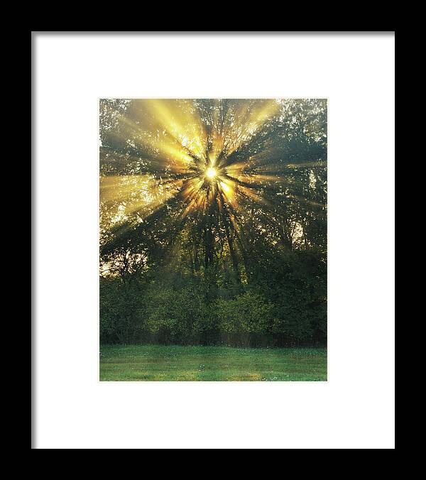 Scenics Framed Print featuring the photograph Sun Shining Through Tree by Raimund Linke