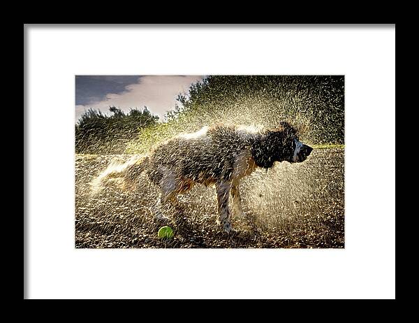 Kent Framed Print featuring the photograph Sunday Morning Dip Then A Good Shake by Andy Smith Photography