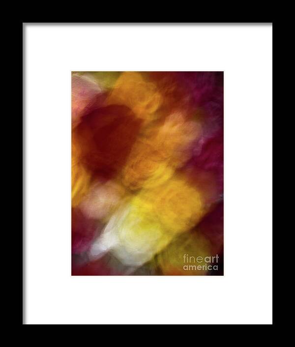 Abstract Framed Print featuring the photograph Sunflower abstract by Phillip Rubino