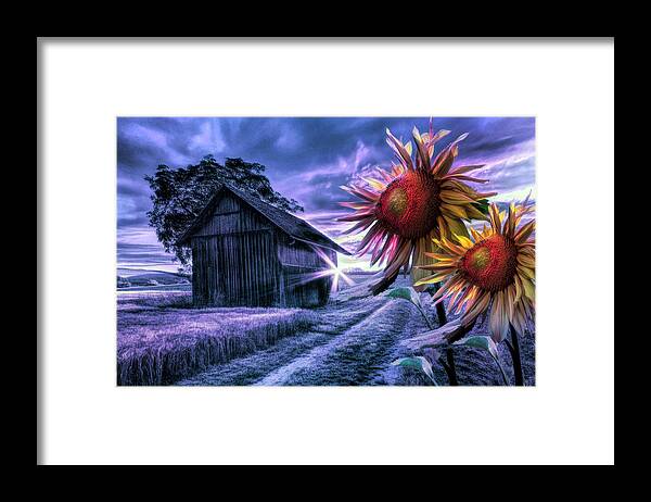 American Framed Print featuring the photograph Sunflower Watch in Night Shades by Debra and Dave Vanderlaan