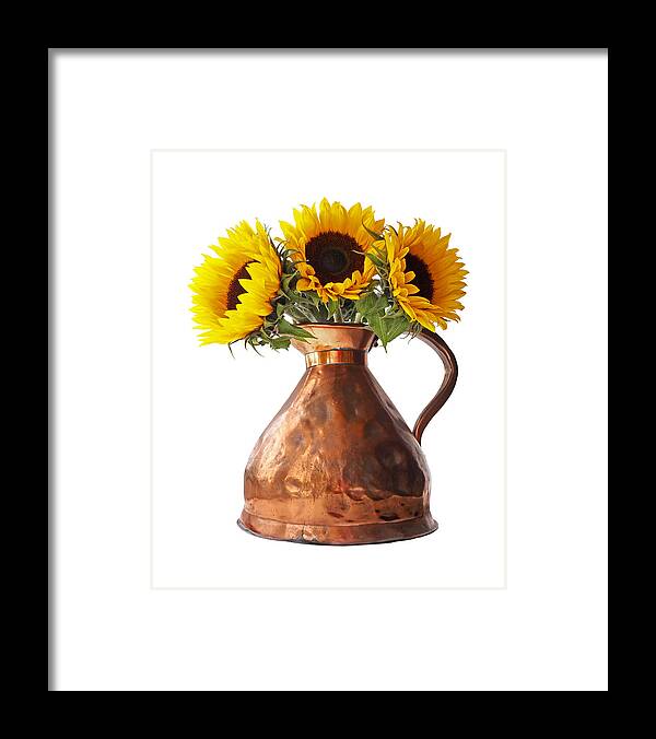 Sunflower Framed Print featuring the photograph Sunflowers In Copper Pitcher On White by Gill Billington