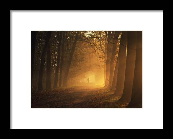 People Framed Print featuring the photograph Sunlight Passing Through Trees In Autumn by Bob Van Den Berg Photography