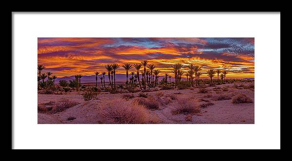 Anza-borrego Desert Framed Print featuring the photograph Sunrise - Borrego Springs by Peter Tellone