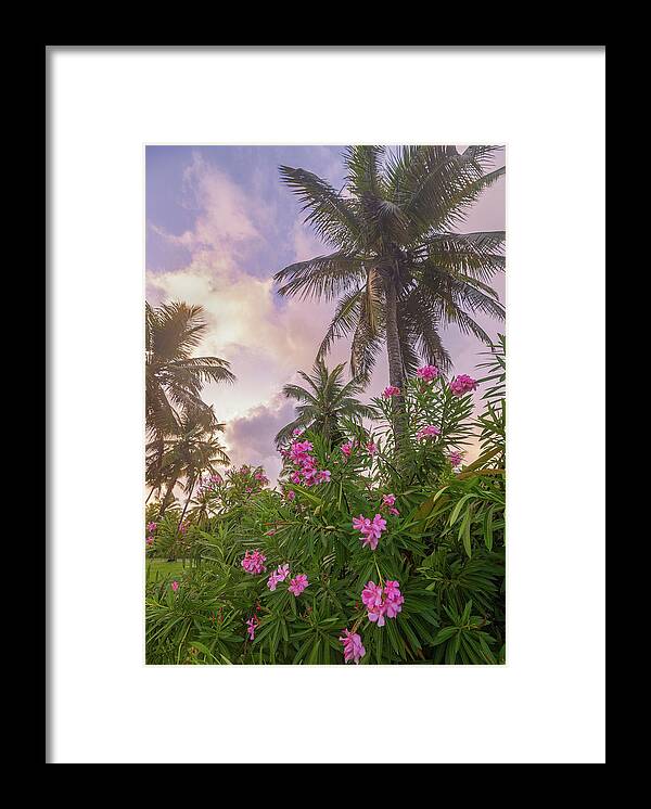 Sunrise Framed Print featuring the photograph Sunrise in the Palms by Darren White