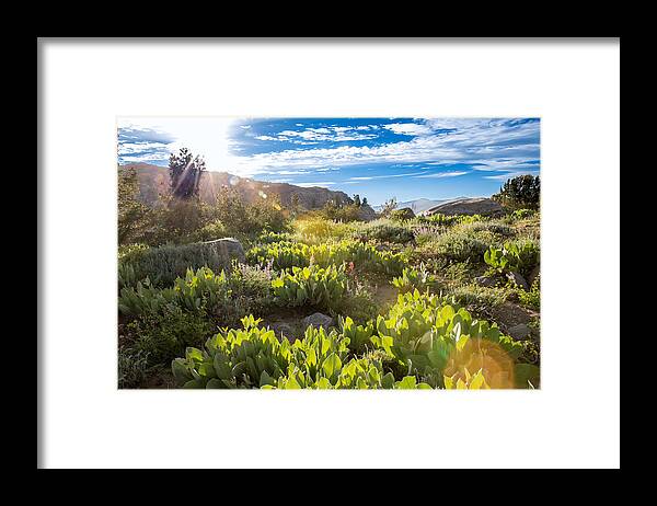 Landscape Framed Print featuring the photograph Sunset at Carson Pass by Mark Miller