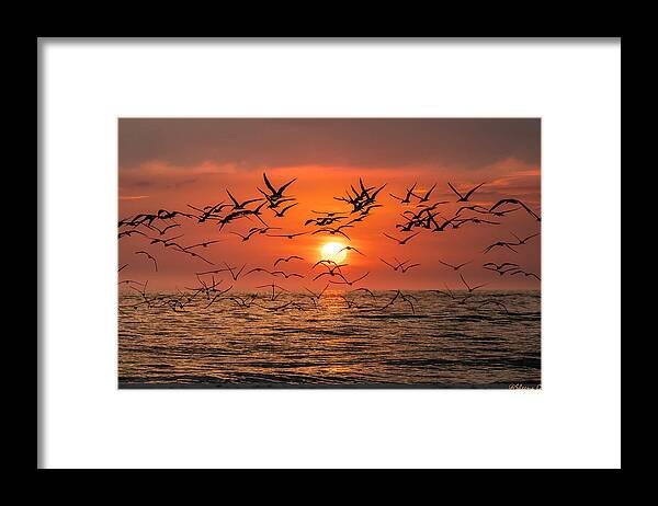 Sunset Framed Print featuring the photograph Sunset At Gulf Shore Naples by Sheena Gu