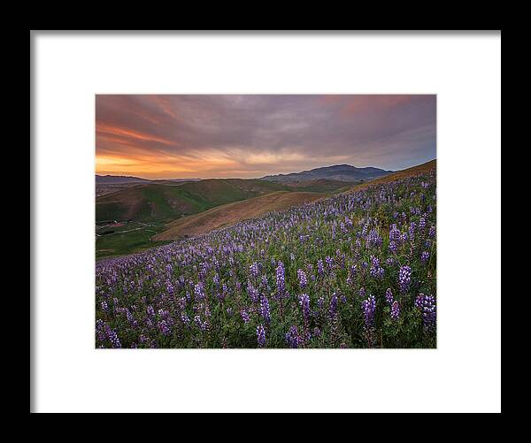 Landscape Framed Print featuring the photograph Sunset At Wildflowers Fields by April Xie