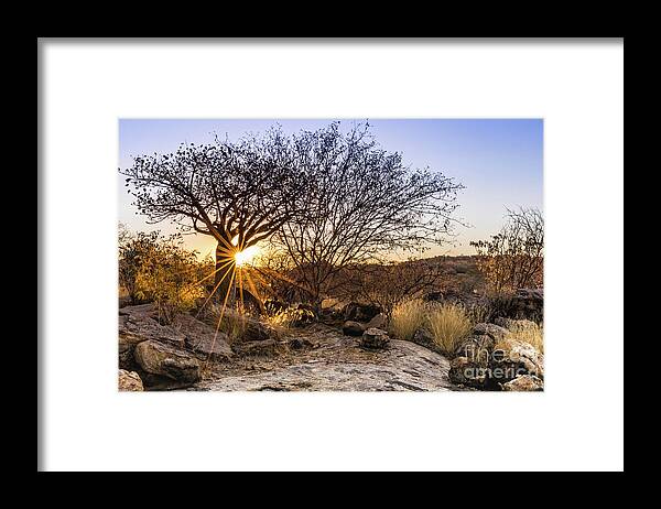 Sunset Framed Print featuring the photograph Sunset in the Erongo bush by Lyl Dil Creations