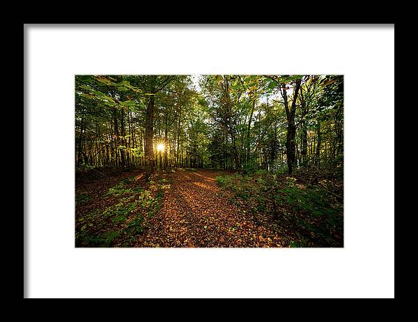 Sunset Framed Print featuring the photograph Sunset in the forrest #1381 by Michael Fryd
