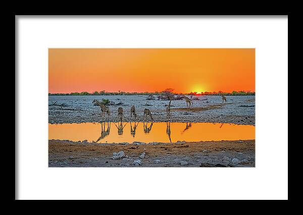 Africa Framed Print featuring the photograph Sunset over Okaukuejo by Hamish Mitchell