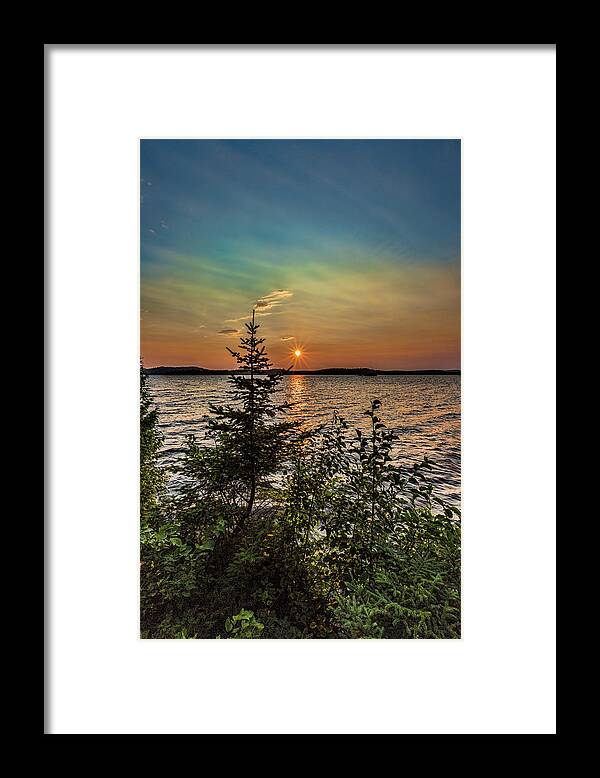Dog Lake Framed Print featuring the photograph Sunset pine by Joe Holley