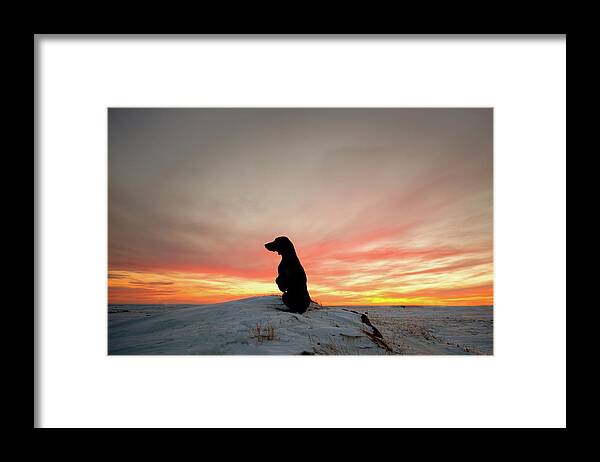 Sunset Framed Print featuring the photograph Sunset Silhouette by Denise LeBleu