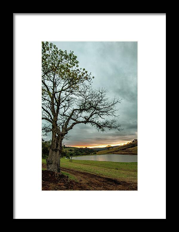 Nik Software Framed Print featuring the photograph Sunset - tree by Enio Godoy
