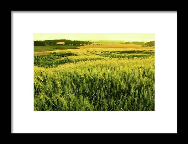 Non-urban Scene Framed Print featuring the photograph Sunshine Over A Wheat Field by Nikada