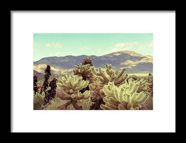California Desert Framed Print featuring the photograph Super Bloom Cactus 7380 by Amyn Nasser