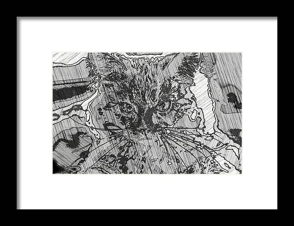 Super Duper Framed Print featuring the digital art Super Duper Cool Cat Sketch by Don Northup