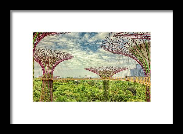 Chriscousins Framed Print featuring the photograph SuperTree Grove by Chris Cousins