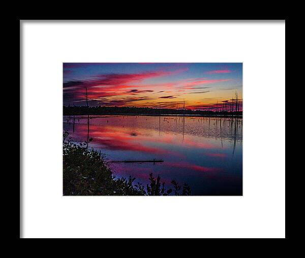 Lake Framed Print featuring the photograph Sunset in the Pines Lands by Louis Dallara