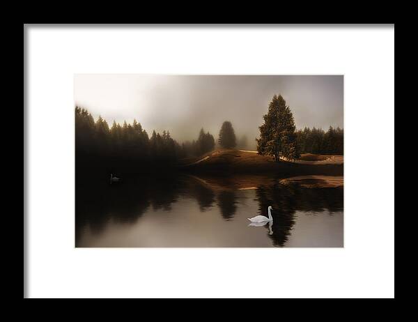Swan Framed Print featuring the photograph Swan Lake by Michael