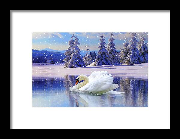 Swan Winter Framed Print featuring the mixed media Swan Winter by Ata Alishahi