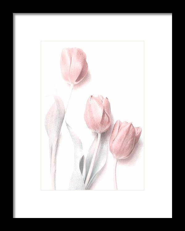 Soft Framed Print featuring the photograph Sweet Pink by Delphine Devos