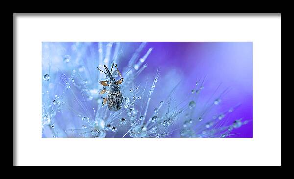 Nature Framed Print featuring the photograph Swimming In The Stars... by Thierry Dufour