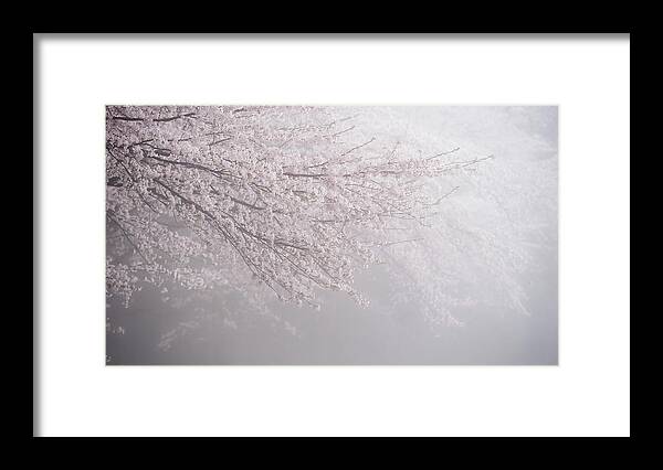 Outdoors Framed Print featuring the photograph Syou-ka by Copyrights(c) All Rights Reserved By Syouta Nagase