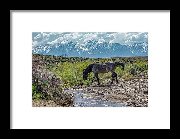  Framed Print featuring the photograph _t__0634 by John T Humphrey