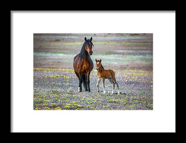 Framed Print featuring the photograph _t__1910 by John T Humphrey