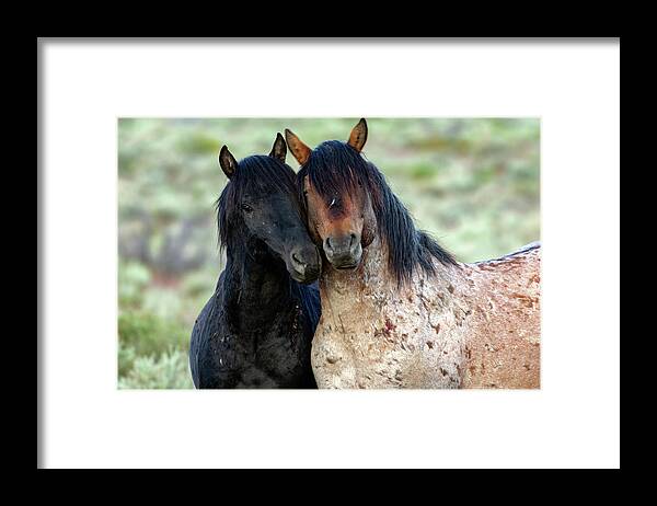  Framed Print featuring the photograph _t__2748 by John T Humphrey
