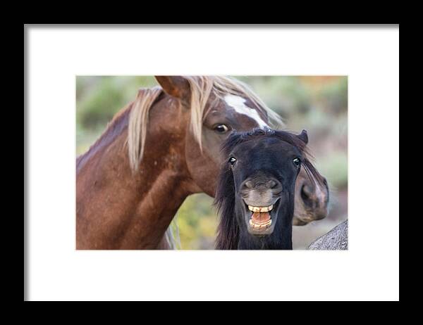  Framed Print featuring the photograph _t__3597 by John T Humphrey
