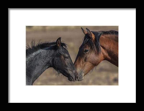 Framed Print featuring the photograph _t__6144 by John T Humphrey
