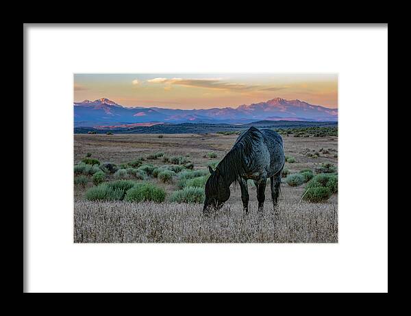 Landscape Framed Print featuring the photograph _t__6254 by John T Humphrey