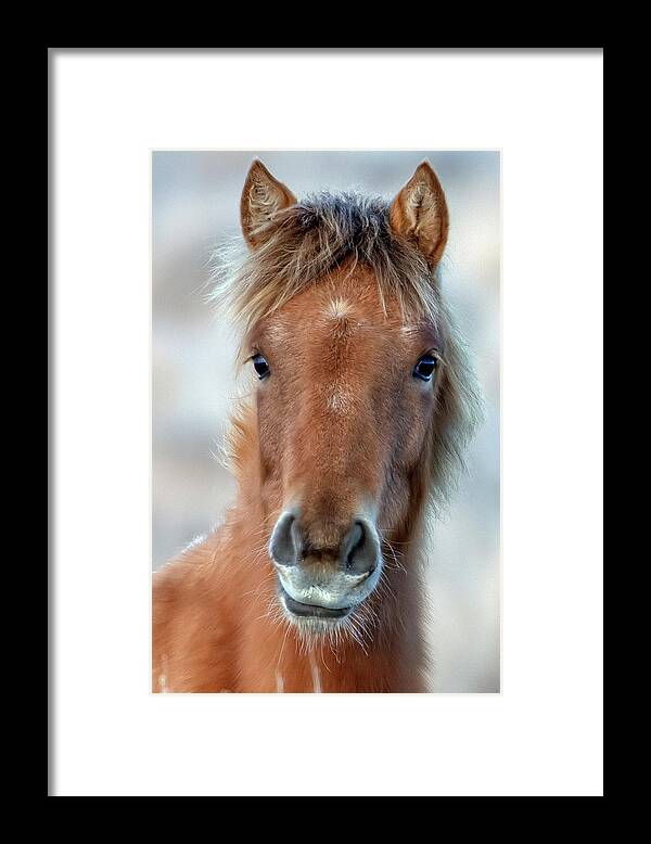 Emmie Framed Print featuring the photograph Emmie by John T Humphrey